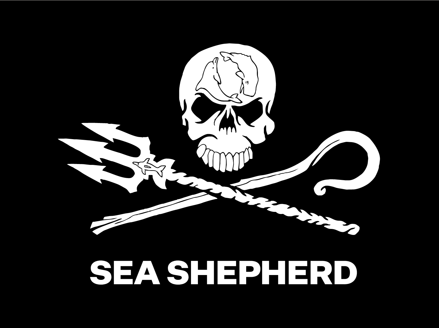 Eating Vegan on the Ocean Conservation Ship Sea Shepard: A Sustainable Journey at Sea